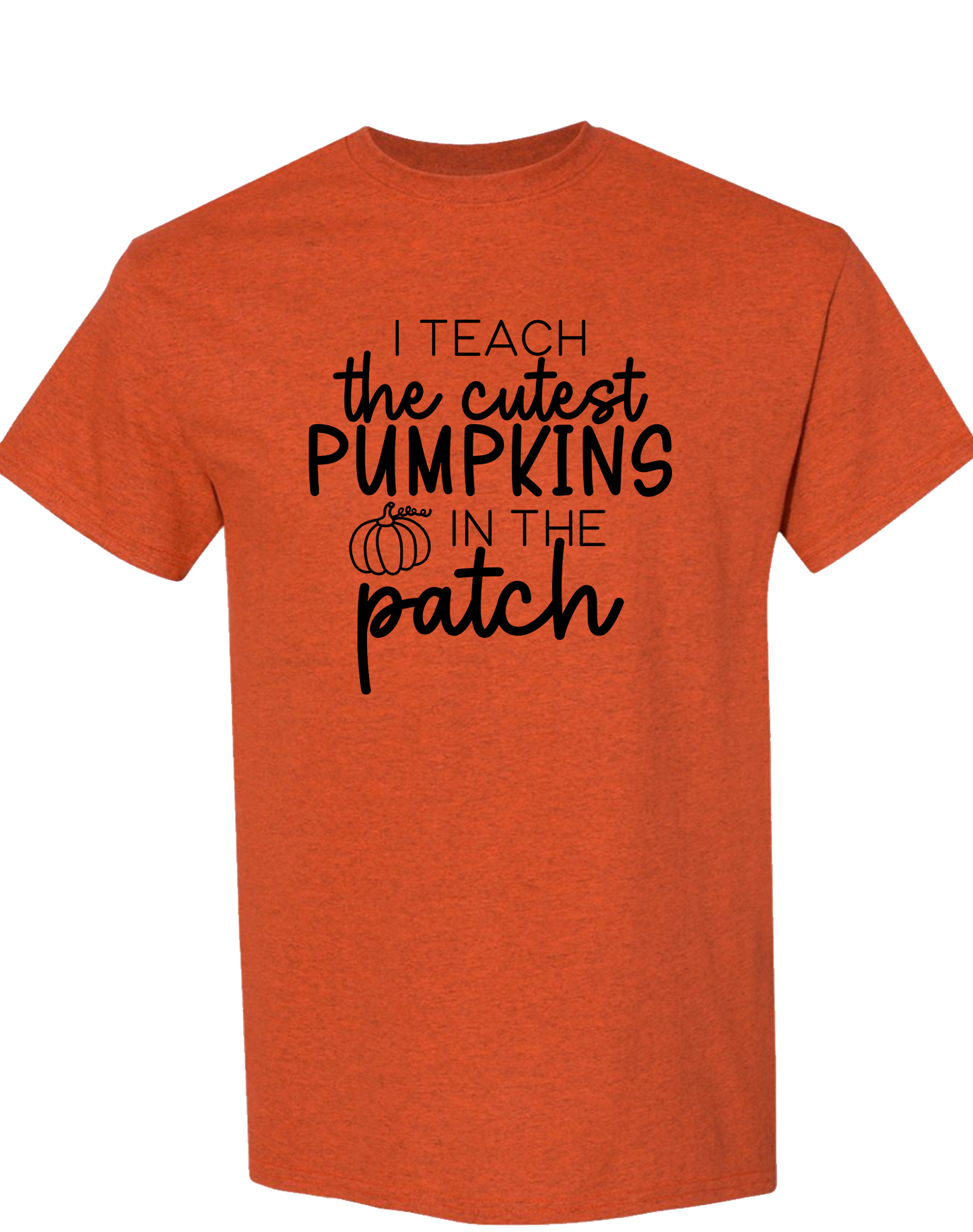 Cutest Pumpkins in the Patch