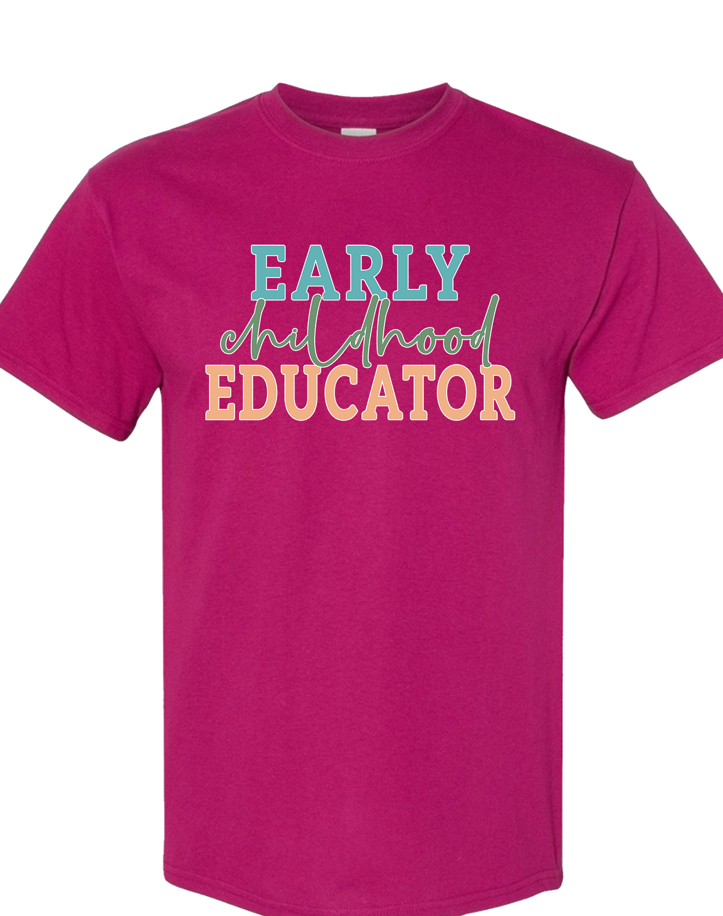 Early Childhood Educator