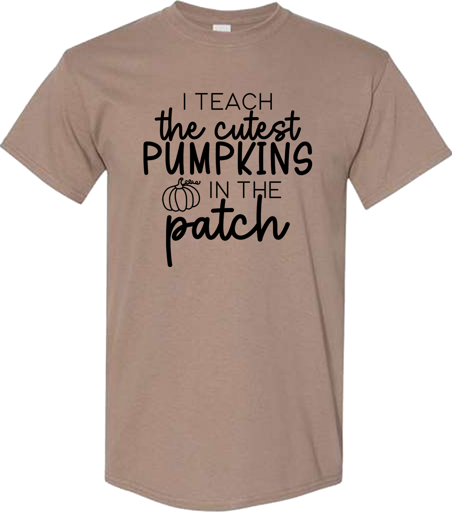 Cutest Pumpkins in the Patch
