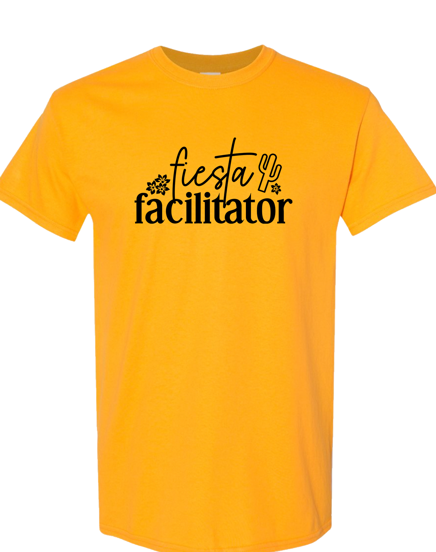 Fiesta Facilitator