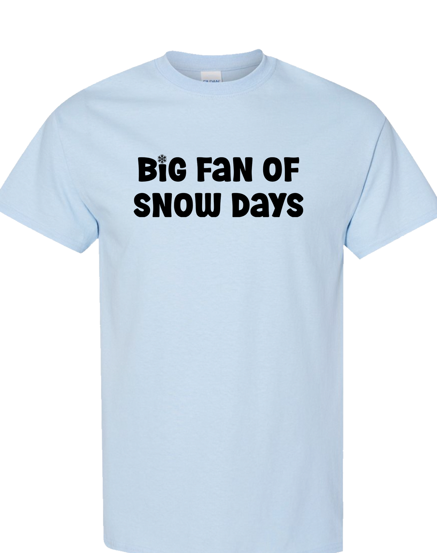 Big Fan of Snow Days