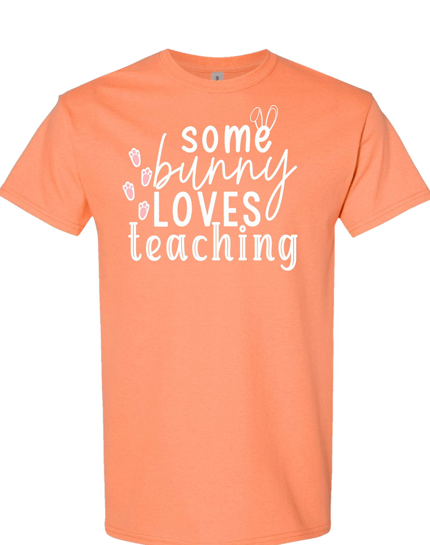 Some Bunny Loves Teaching