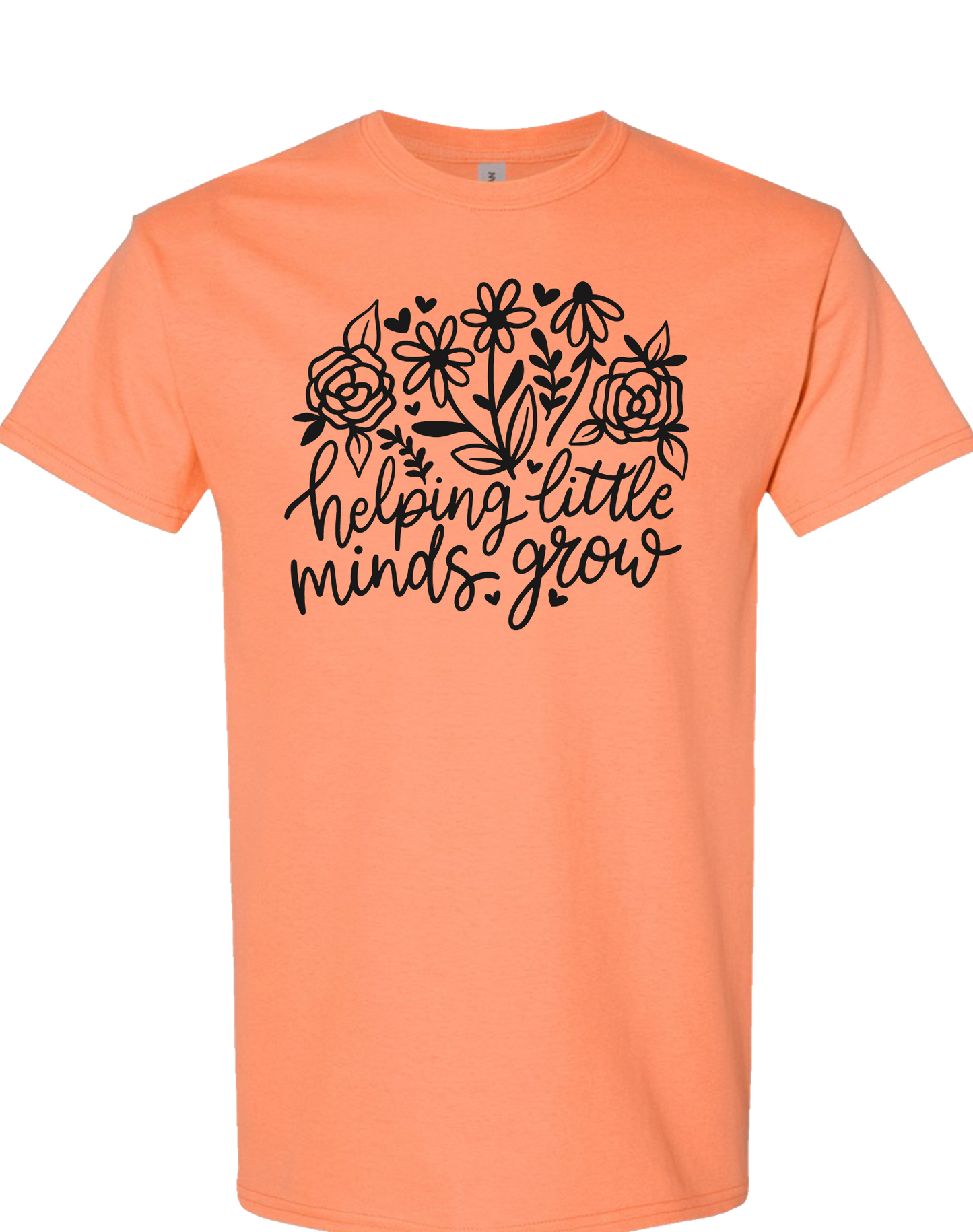 Helping Little Minds Grow