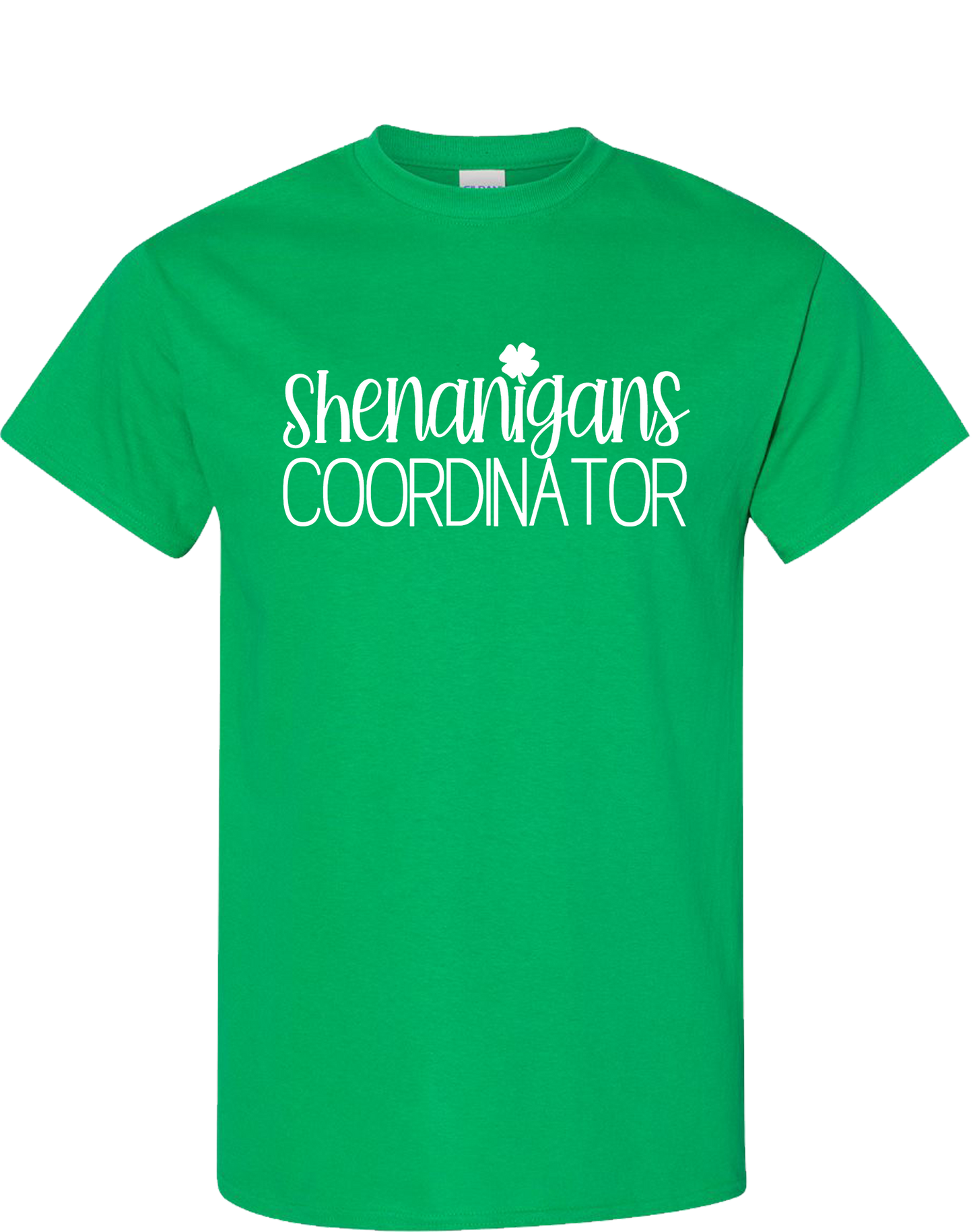 Shenanigans Coordinator
