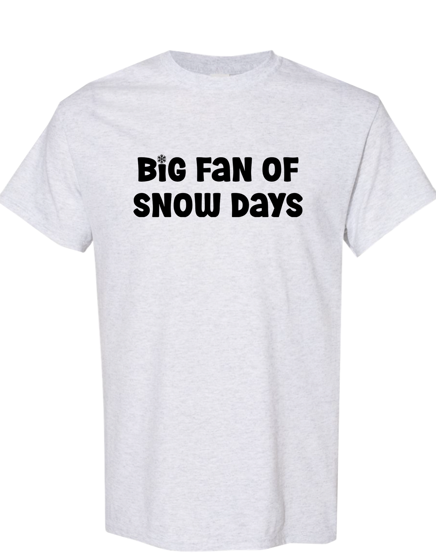 Big Fan of Snow Days
