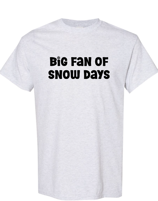 Big Fan of Snow Days