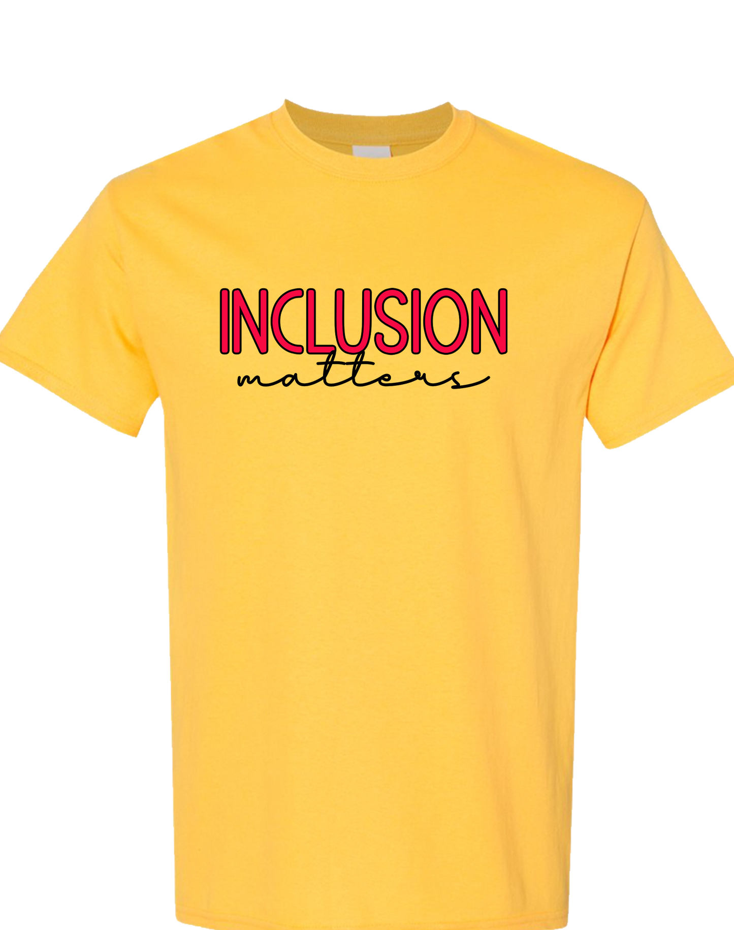 Inclusion Matters