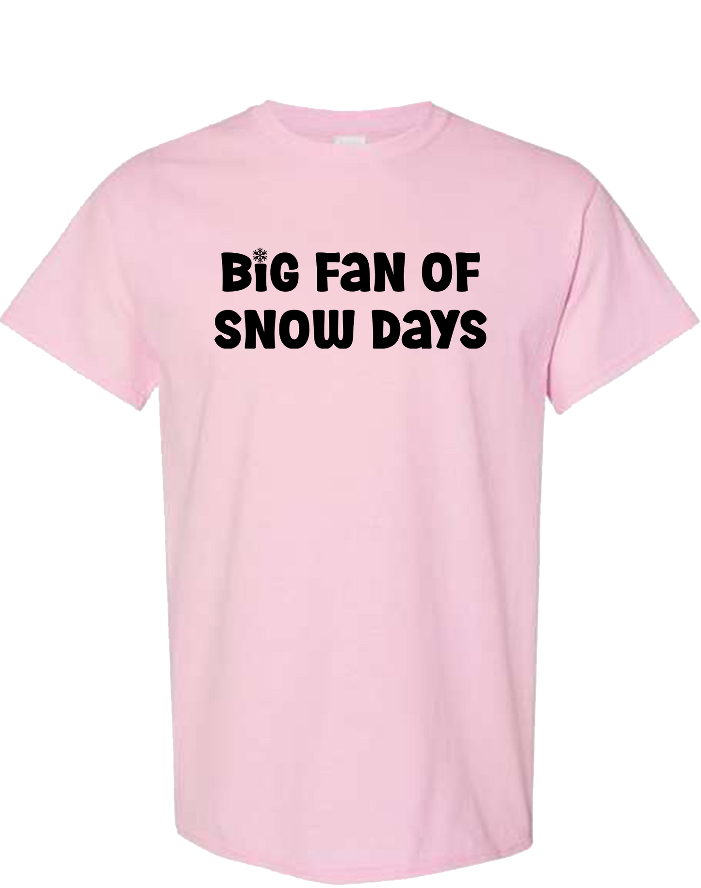 Big Fan of Snow Days
