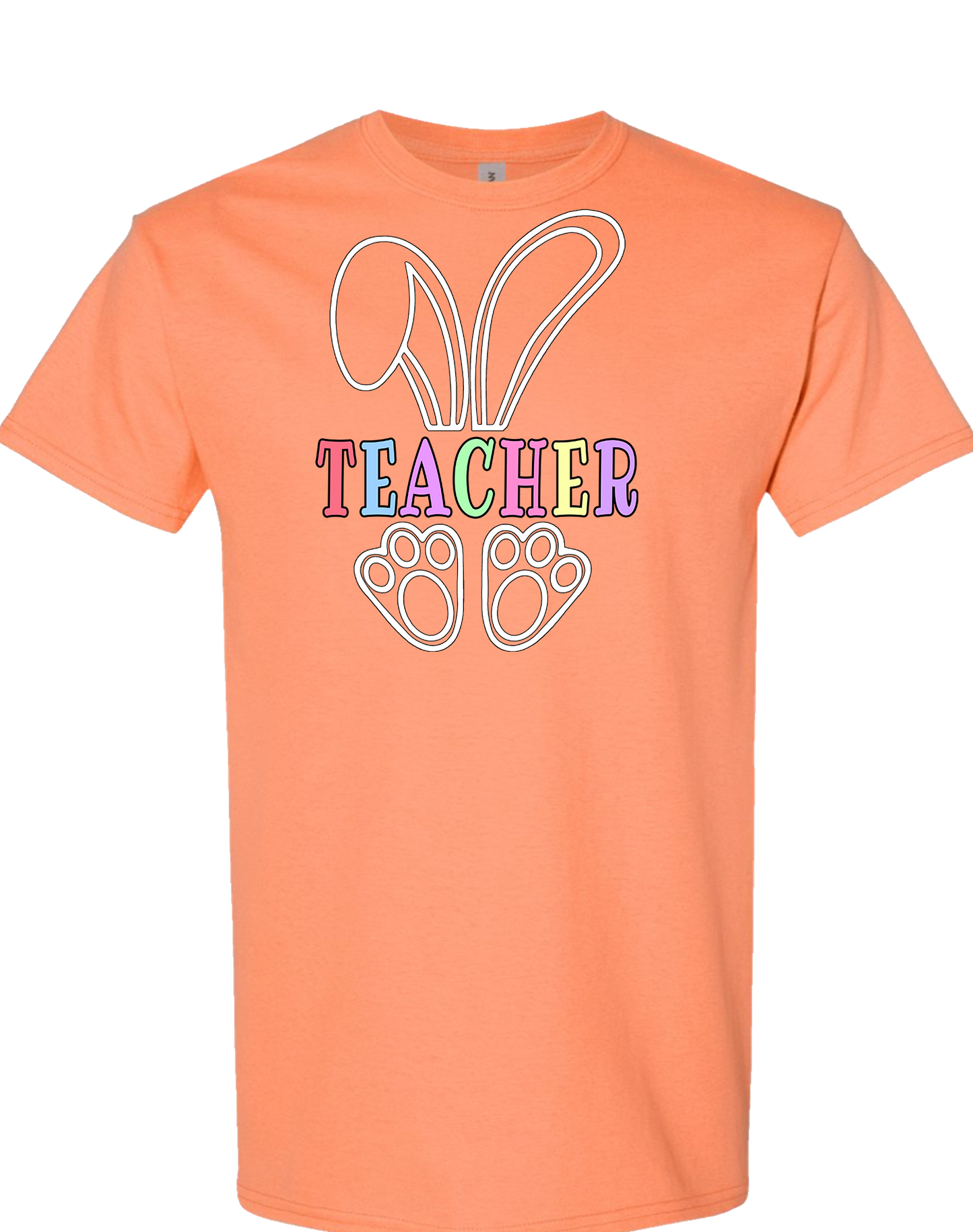 Teacher Bunny