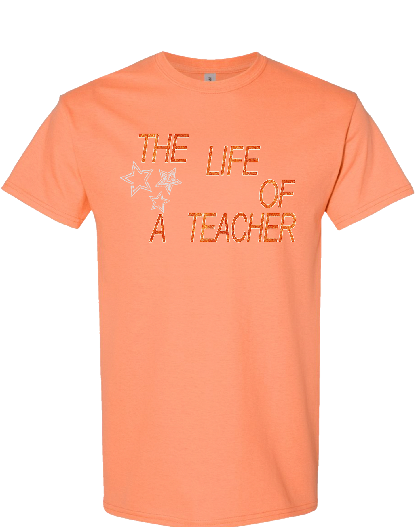 The Life of a Teacher